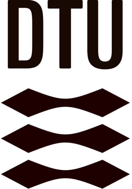 Danish Technical University logo